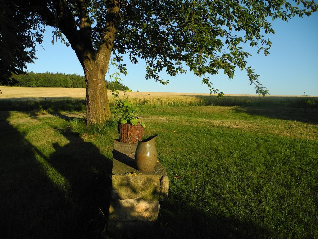 Alte Scheune Rietzschelhof Muglitztal Exterior foto